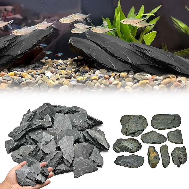 Aquarium Fish Types - 500/1000g 어항 조경석 키트 슬레이트 석재
