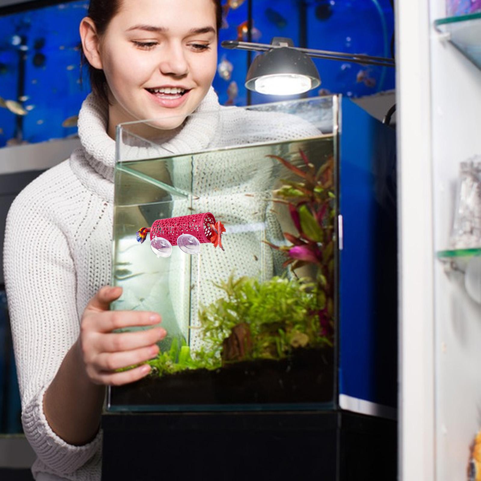 Aquarium Fish Cichlid - 베타 생태 환경 휴식처 장식품 물고기