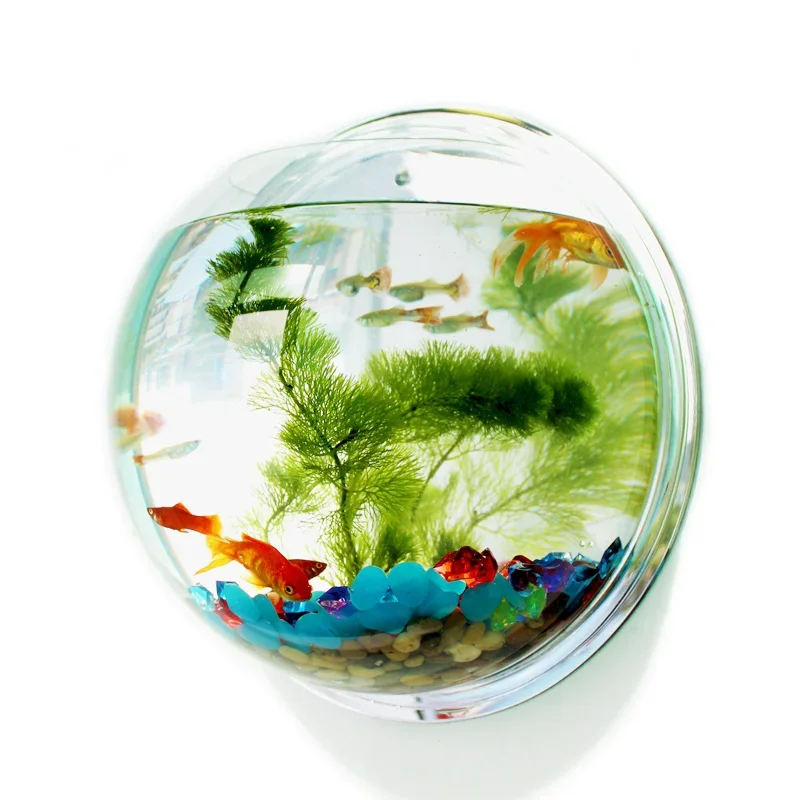Aquarium Fish Background - Pinsjar 아크릴 어항 벽걸이 수족관 탱크,