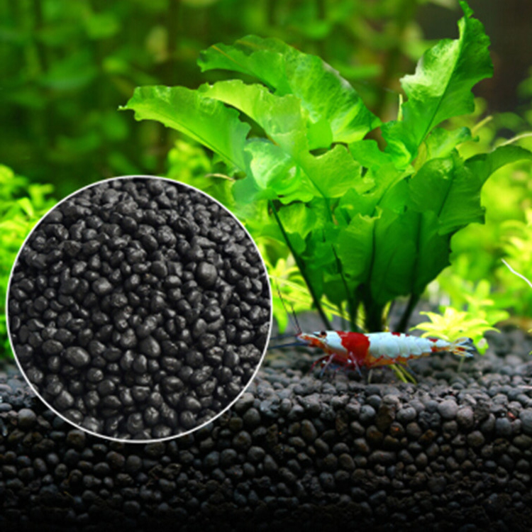 Aquarium Fish Types - 수족관 식물 씨앗 토양 어항 기판