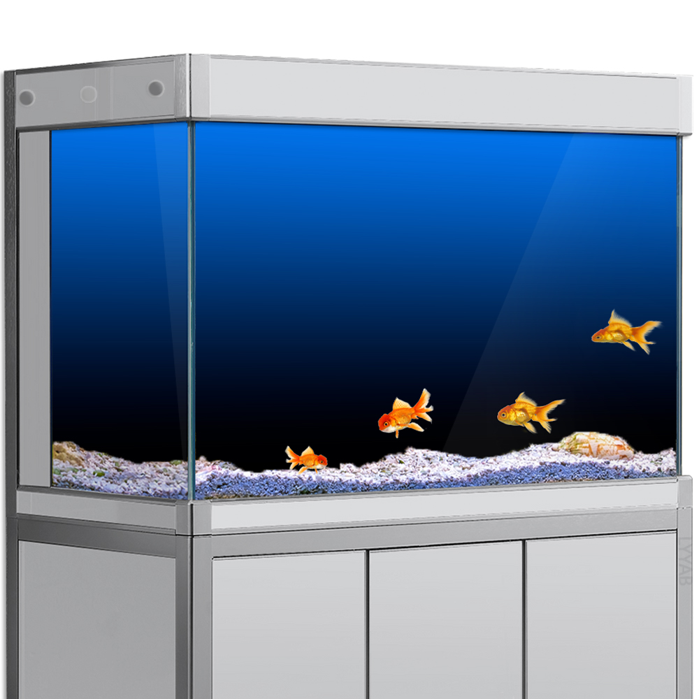Aquarium Fish Background - 물고기 탱크 배경 스티커 검정 녹색