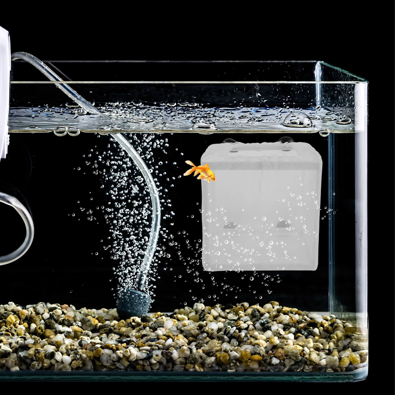 Aquarium Fish Eggs - 2개입 어류 번식 상자 수족관 부유식