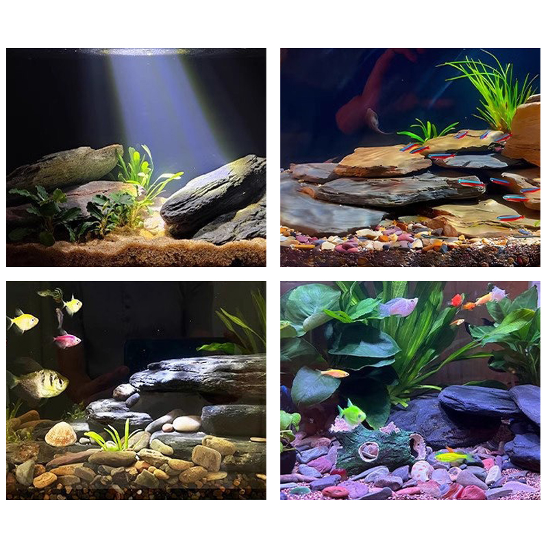 500/1000g 어항 조경석 키트 슬레이트 석재 테라 - Aquarium Fish Types 리뷰 및 가격