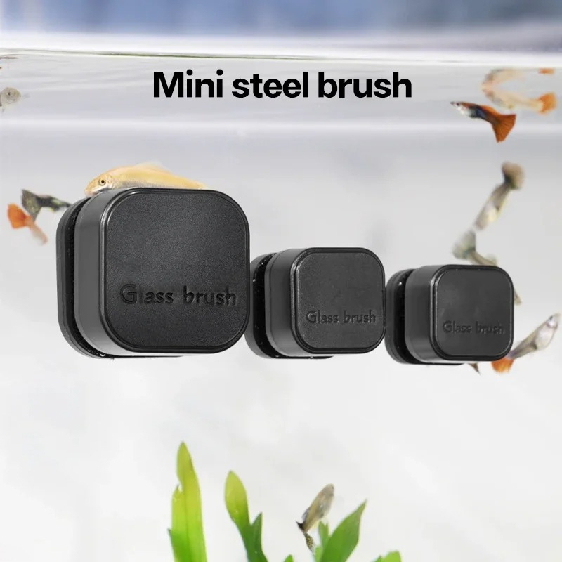 미니 사각형 자석 브러시 수족관 유리 클리너 스크래치  - Aquarium Fish Maintenance 리뷰 및 가격