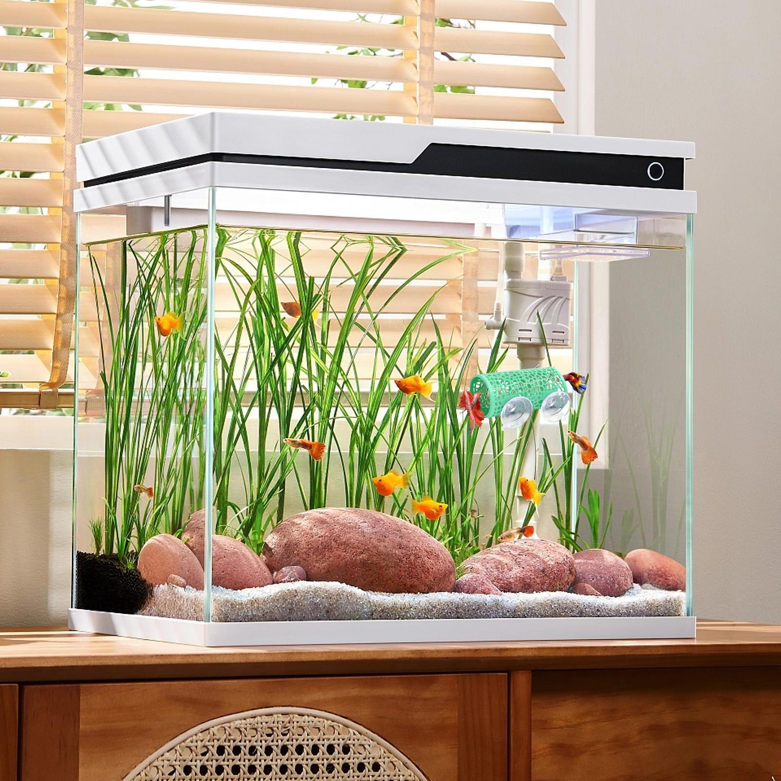 베타 생태 환경 휴식처 장식품 물고기 터널 장난감, 수 - Aquarium Fish Cichlid 리뷰 및 가격