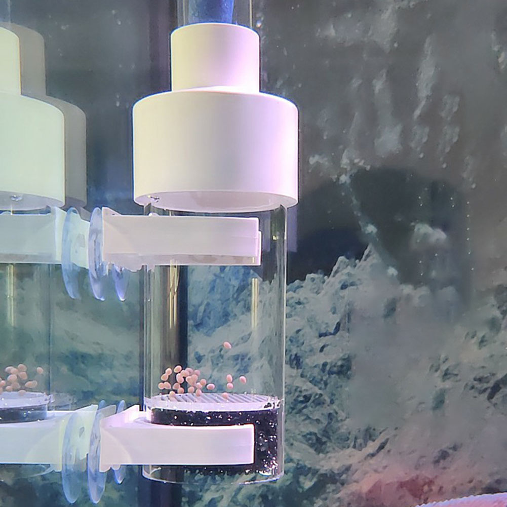 40mm 텀블러 인큐베이터 물고기 부화장 입 육추 수족 - Aquarium Fish Cichlid 리뷰 및 가격