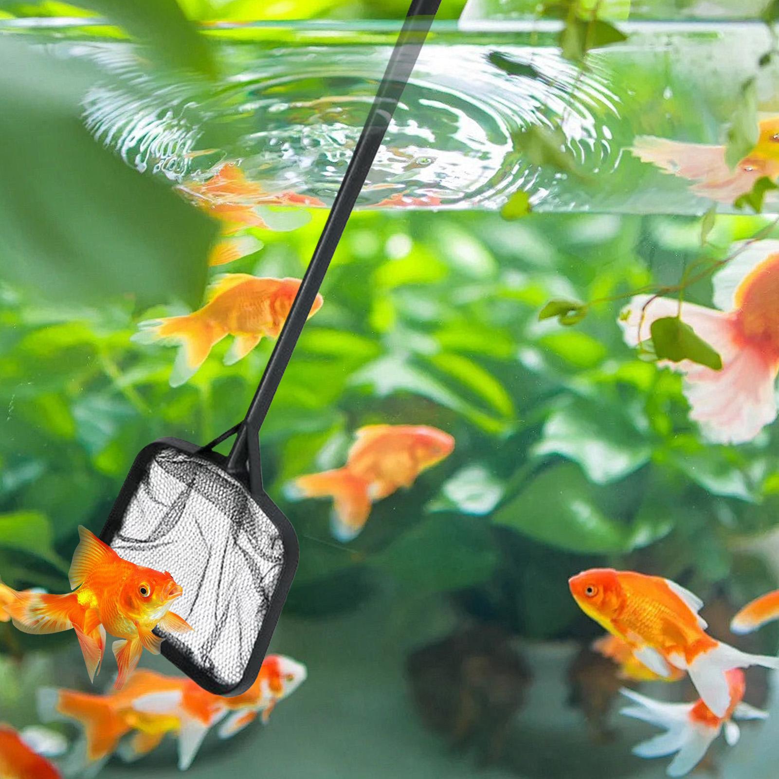 휴대용 수영장 청소용 그물망, 분수 청소용품, 수족관/ - Aquarium Fish Maintenance 리뷰 및 가격