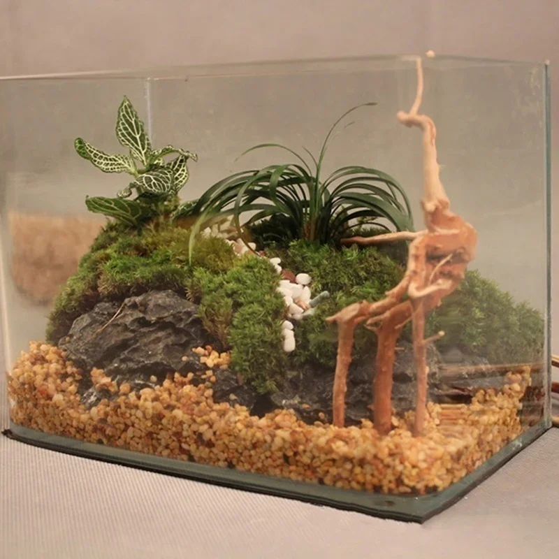 천연 나무 줄기 유목 수족관 어항, 파충류 실린더 뿌리 - Aquarium Fish Cichlid 리뷰 및 가격