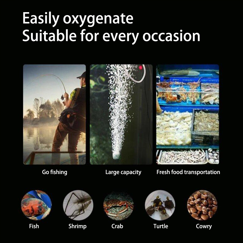 미니 수족관 에어 펌프 키트, 산소 펌프, USB 수족 - Aquarium Fish Fishing 리뷰 및 가격