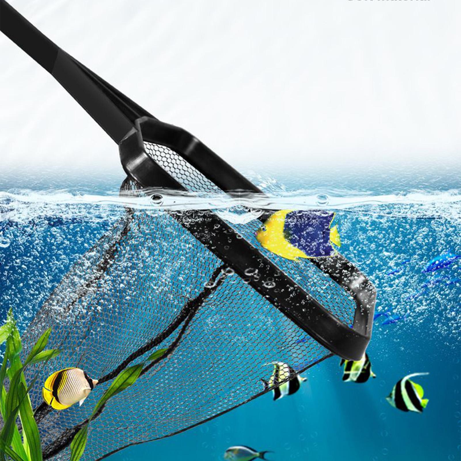 풀 그물 물고기 탱크 수리 그물 수족관 청소 도구 물고 - Aquarium Fish Maintenance 리뷰 및 가격