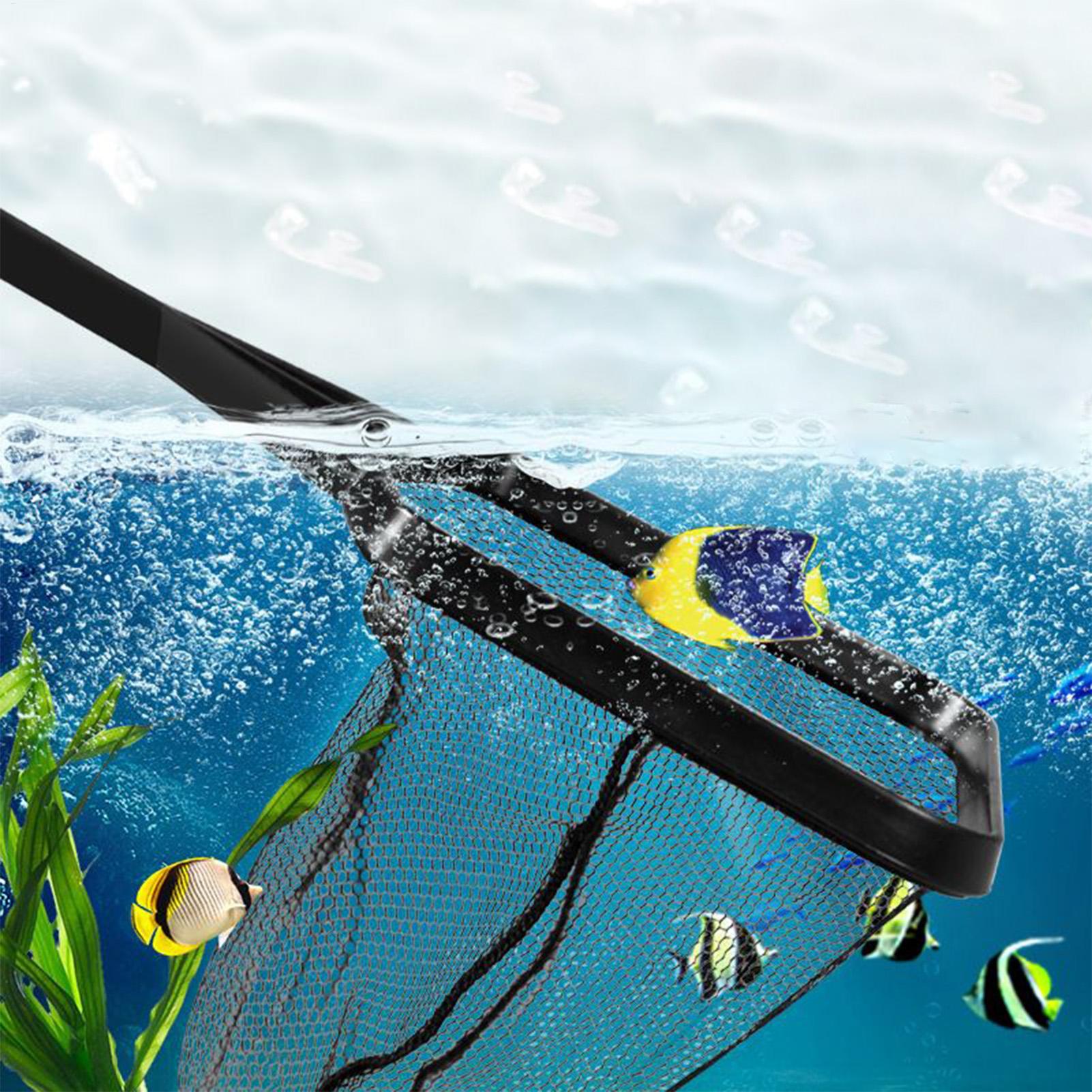 풀 그물 물고기 탱크 수리 그물 수족관 청소 도구 물고 - Aquarium Fish Maintenance 리뷰 및 가격