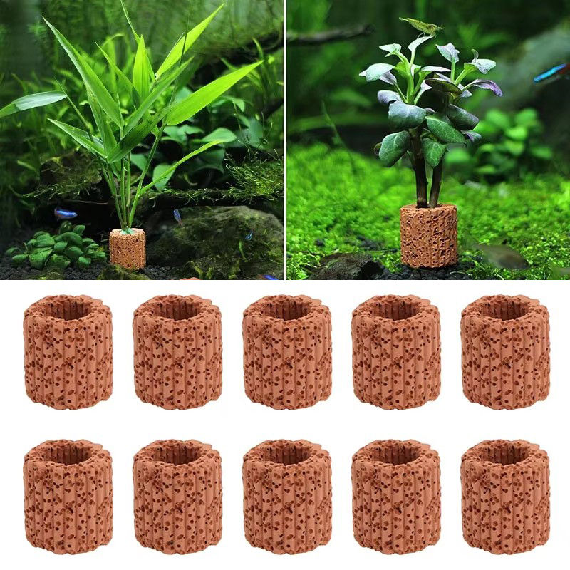 수족관 풍경을위한 수생 식물 고정 링 세라믹 수생 식물 - Aquarium Fish Cichlid 리뷰 및 가격