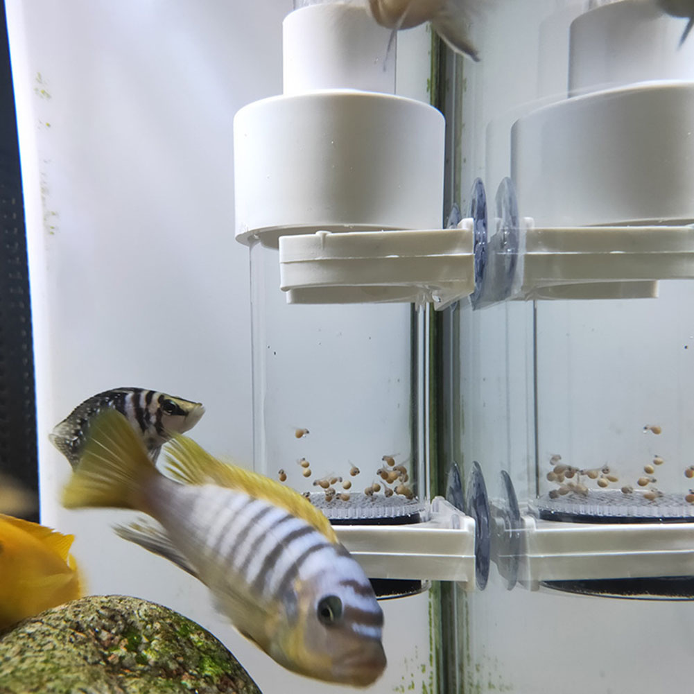 40mm 인큐베이터 어류 인큐베이터 부화장 수족관 시클 - Aquarium Fish Eggs 리뷰 및 가격