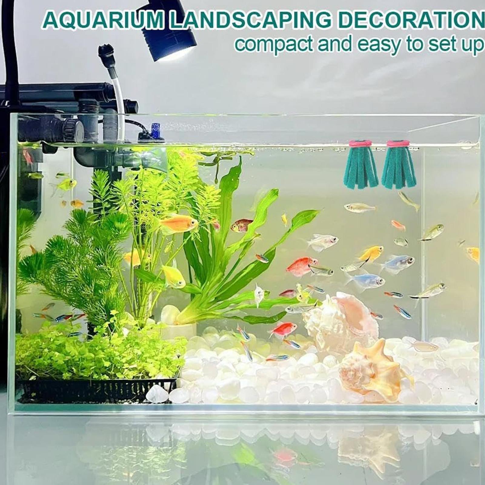 10개 수족관 부화용 모프 장식용 부화지 플로팅 에그  - Aquarium Fish Eggs 리뷰 및 가격