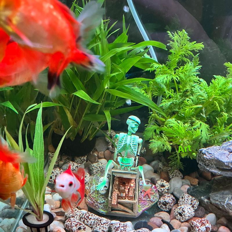 어항 에어로빅 랜드스케이프 버블 에어 펌프 재미있는 어 - Aquarium Fish Only 리뷰 및 가격