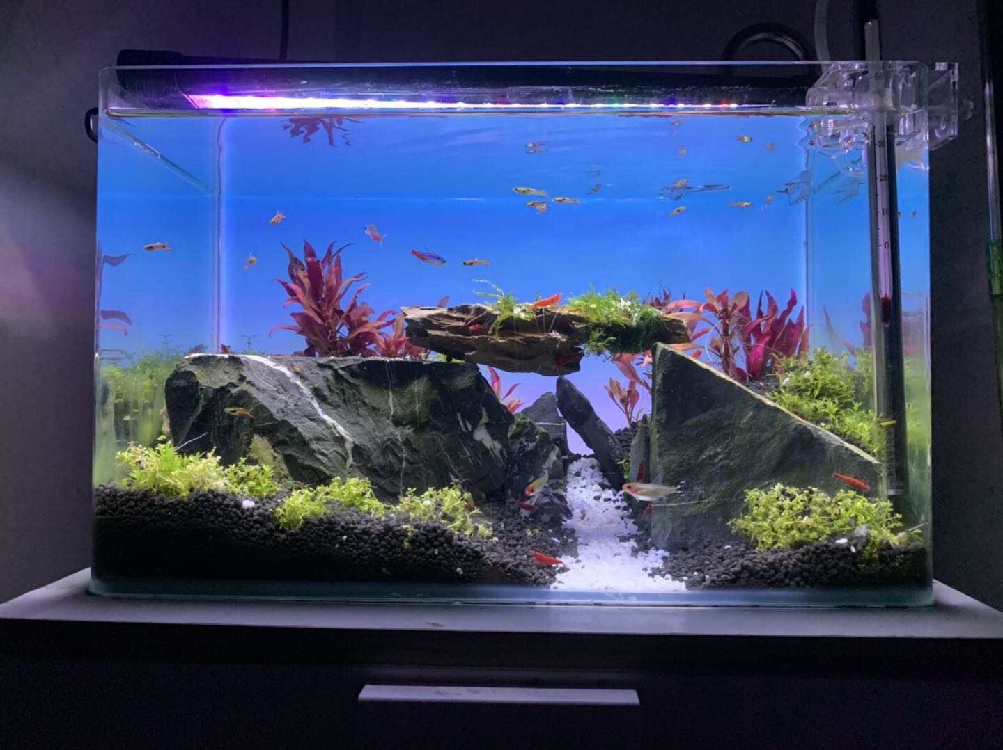 RGB 색상 변경 가능한 수족관 조명, 맞춤형 테두리  - Aquarium Fish Background 리뷰 및 가격