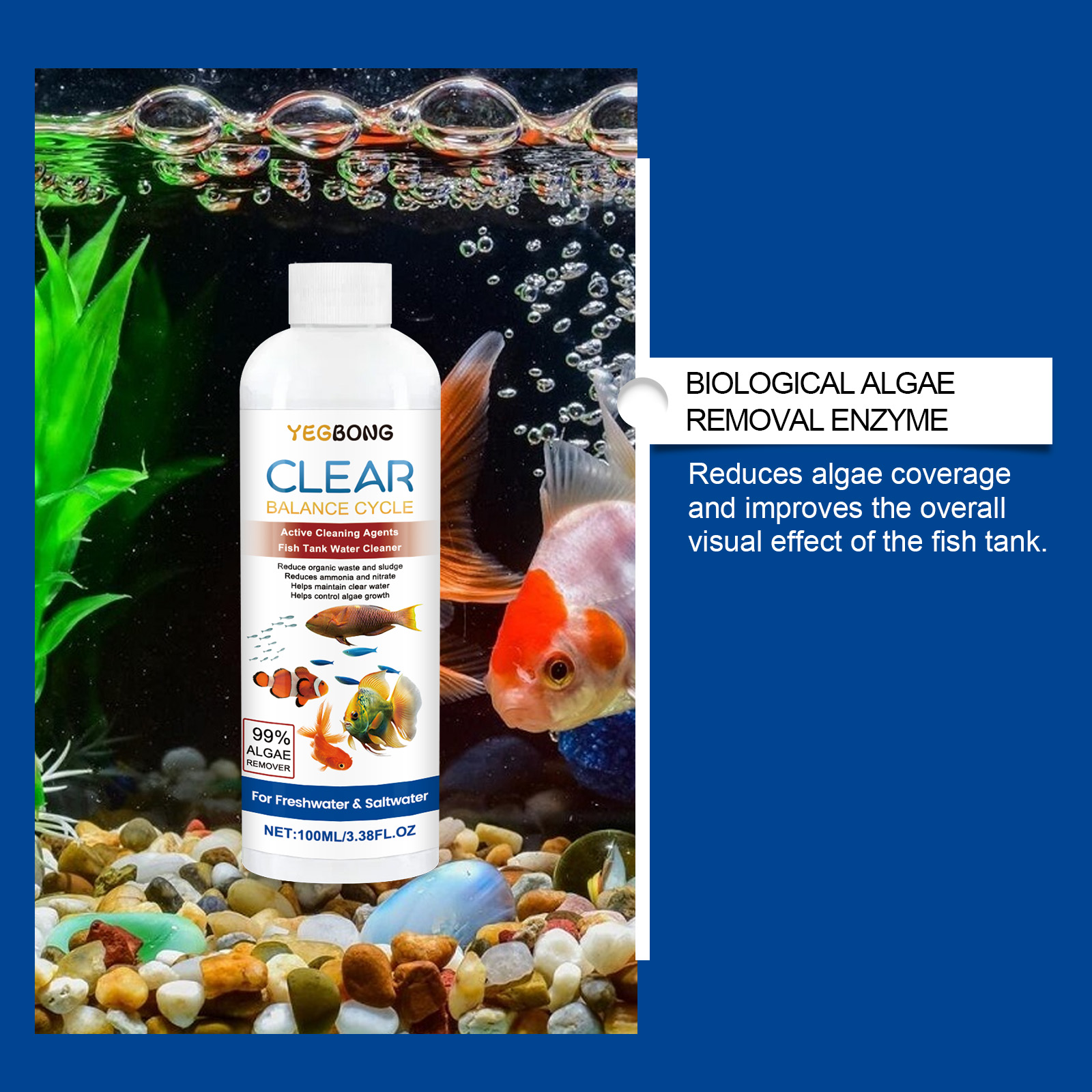 수족관 물 정화기 100ml 담수 바닷물 물고기 탱크  - Aquarium Fish Maintenance 리뷰 및 가격