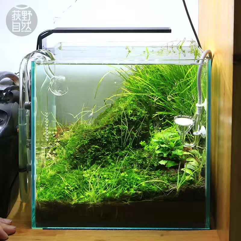 Chihiros C 시리즈 ADA 스타일 식물 성장 L - Aquarium Fish Background 리뷰 및 가격