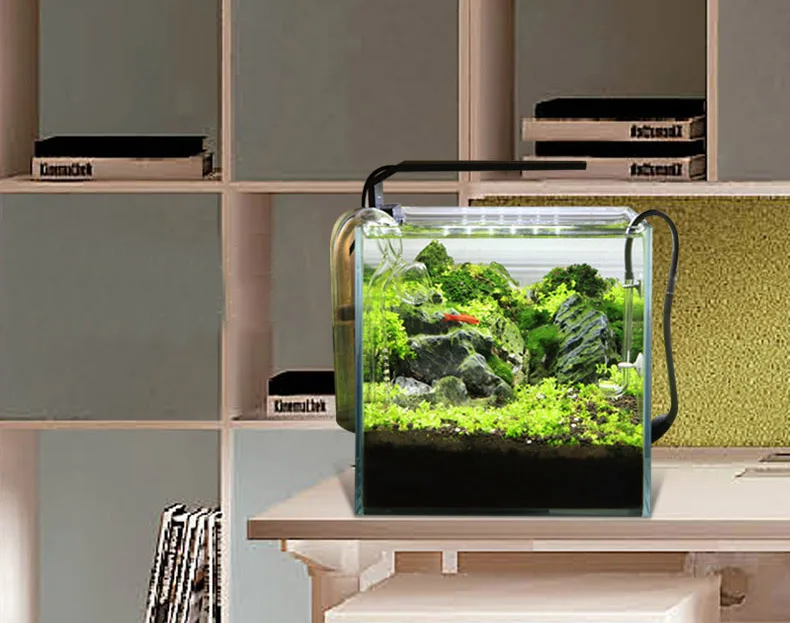 Chihiros C 시리즈 ADA 스타일 식물 성장 L - Aquarium Fish Background 리뷰 및 가격