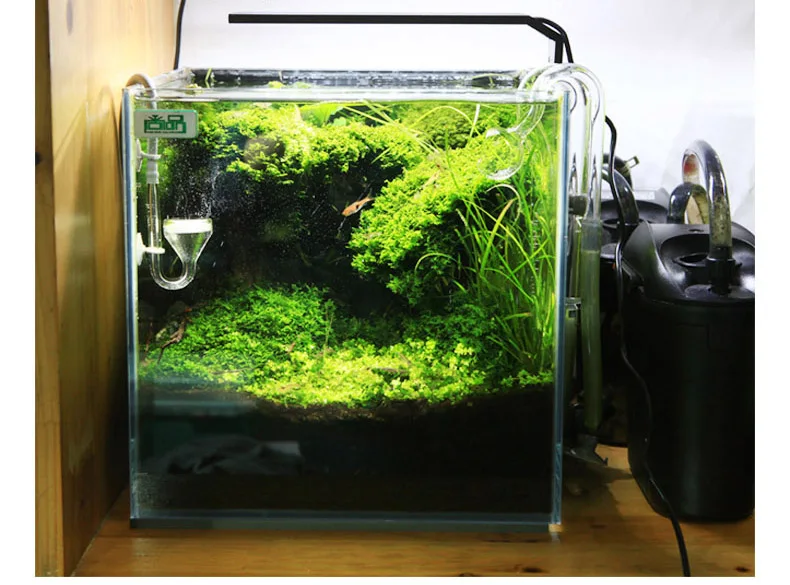 Chihiros C 시리즈 ADA 스타일 식물 성장 L - Aquarium Fish Background 리뷰 및 가격