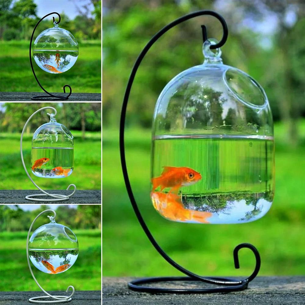 수족관 장식 벽걸이형 랙 홀더가 있는 홈데코 어항 물고 - Aquarium Fish Background 리뷰 및 가격