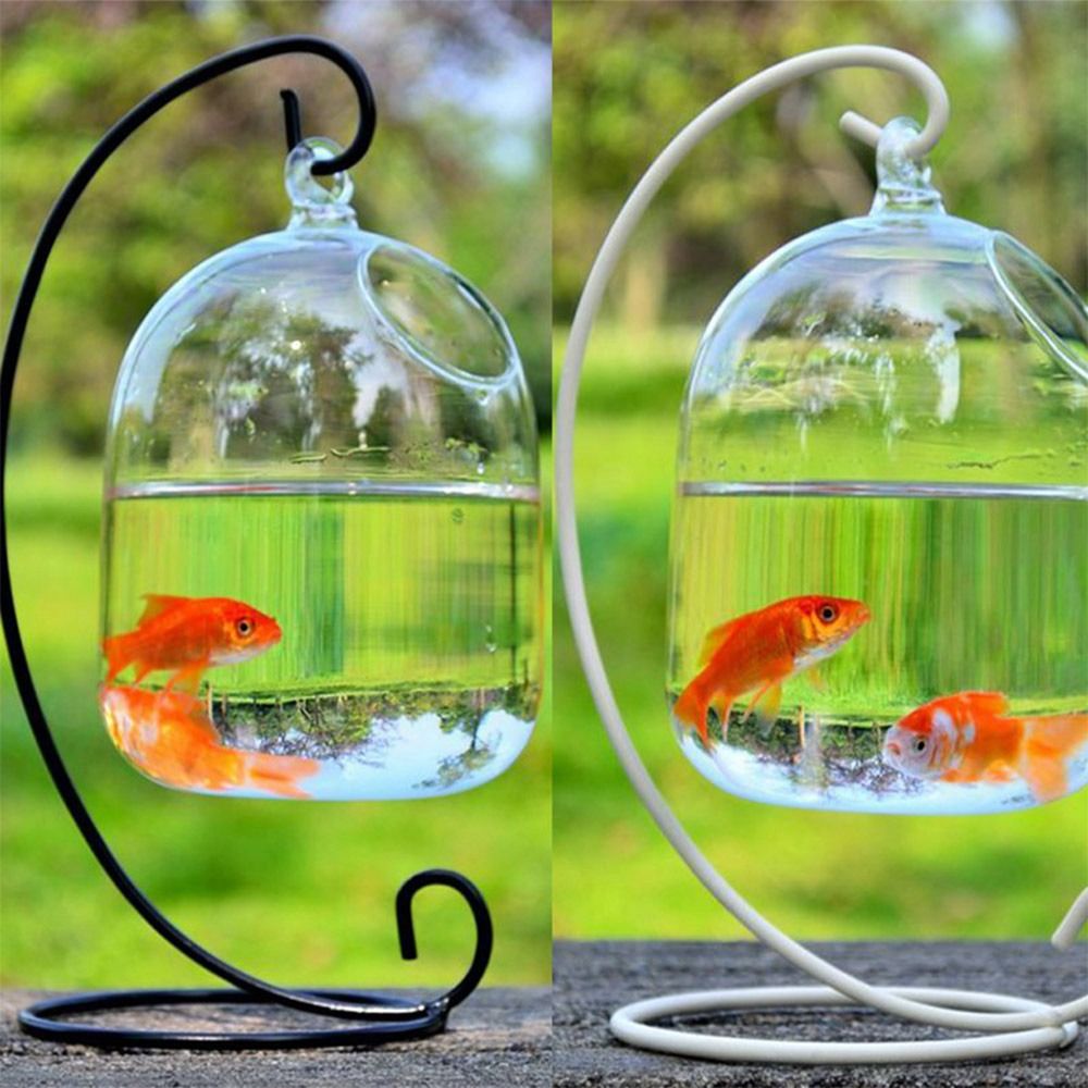 수족관 장식 벽걸이형 랙 홀더가 있는 홈데코 어항 물고 - Aquarium Fish Background 리뷰 및 가격