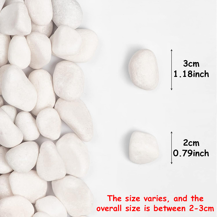 200/400g 흰색 고광택 천연 자갈 2-3cm 마당 - Aquarium Fish Only 리뷰 및 가격