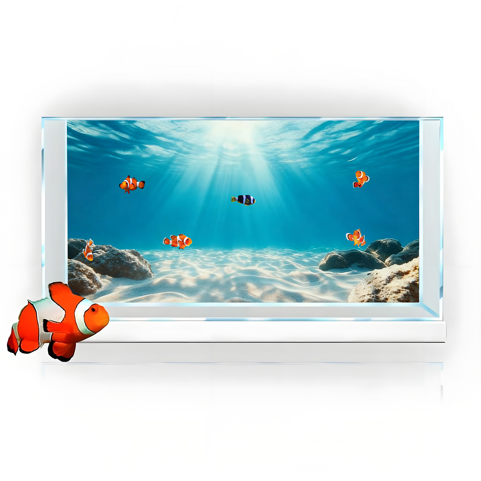 푸른 바다 투명 모래, 어항 배경 그림, 수족관 스티커 - Aquarium Fish Background 리뷰 및 가격