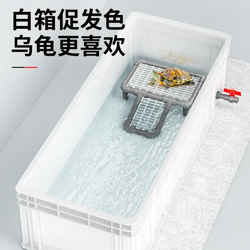 거북이 수조 대형 거북이 전문 연못 바닥 필터 어류 공 - Fish Co Aquarium 리뷰 및 가격