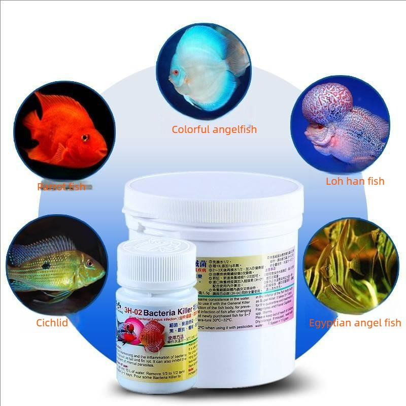 디스커스, 시클리드, 플라워혼 등에 대한 내외부 기생충 - Aquarium Fish Cichlid 리뷰 및 가격