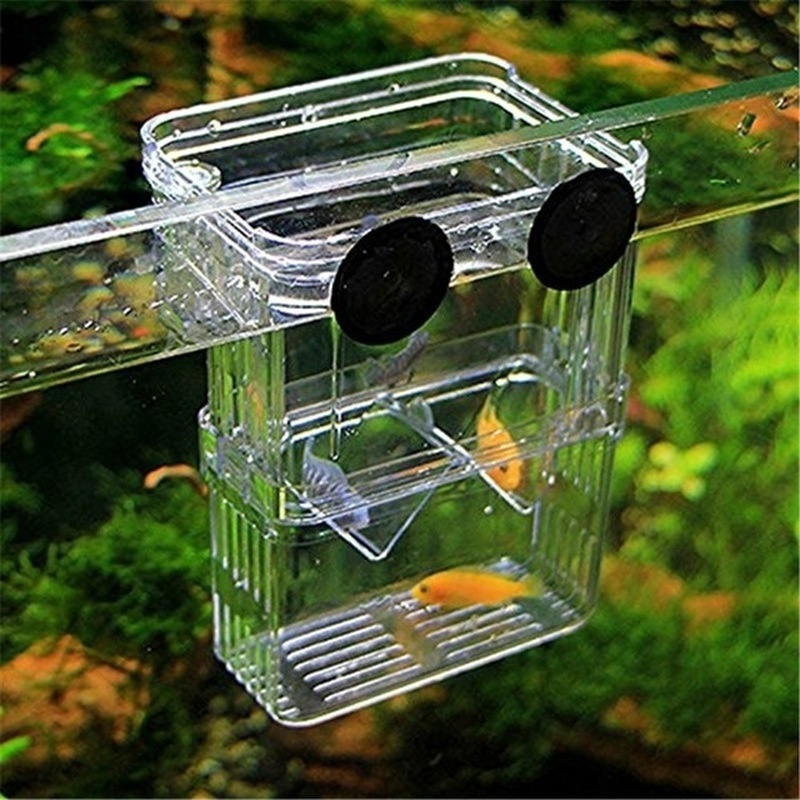 다기능 물고기 수족관 높은 명확한 물고기 번식 격리 상 - Aquarium Fish Background 리뷰 및 가격