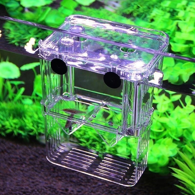 다기능 물고기 수족관 높은 명확한 물고기 번식 격리 상 - Aquarium Fish Background 리뷰 및 가격