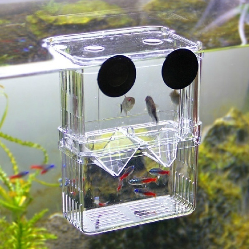 다기능 물고기 수족관 높은 명확한 물고기 번식 격리 상 - Aquarium Fish Background 리뷰 및 가격