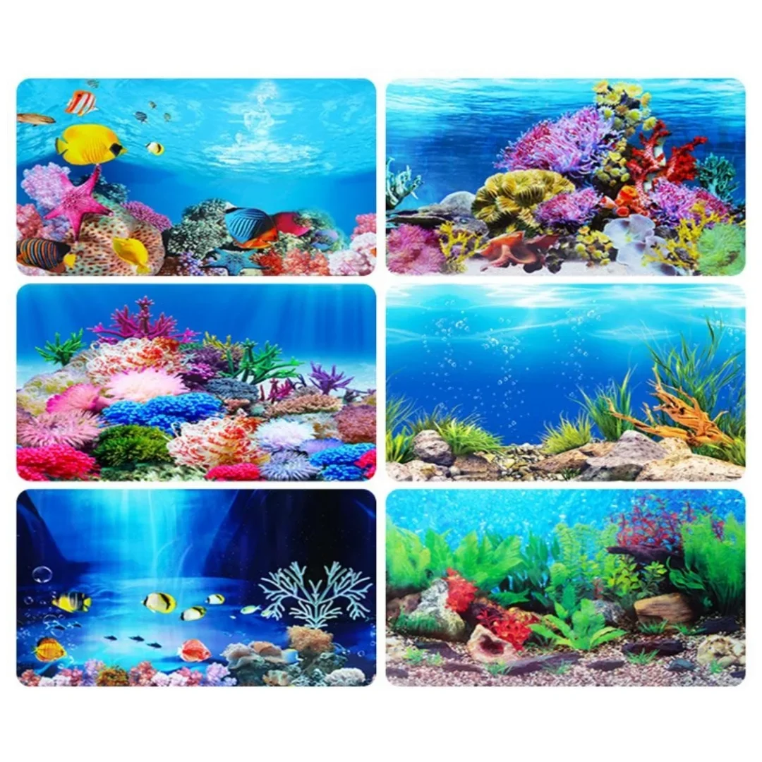 배경 수족관 3D 스티커 포스터 장식, 어항 해양 식물 - Aquarium Fish Only 리뷰 및 가격