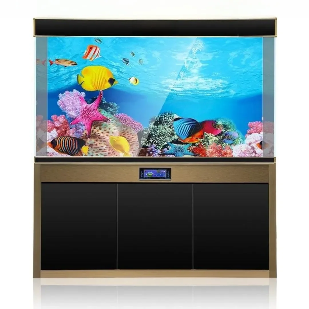 배경 수족관 3D 스티커 포스터 장식, 어항 해양 식물 - Aquarium Fish Only 리뷰 및 가격