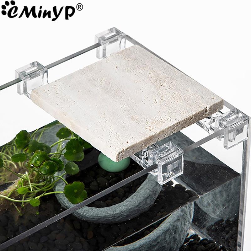 5.5mm ~ 15mm 벽 두께에 대 한 4Pcs 물고 - Aquarium Fish Background 리뷰 및 가격