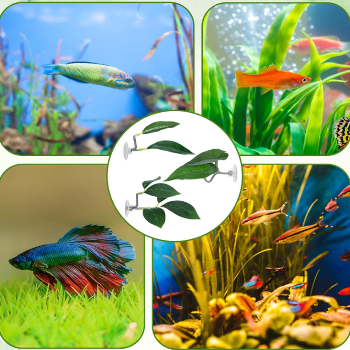 1 PC 베타 물고기 해먹 부드러운 수족관 장식 플라스 - Aquarium Fish Only 리뷰 및 가격