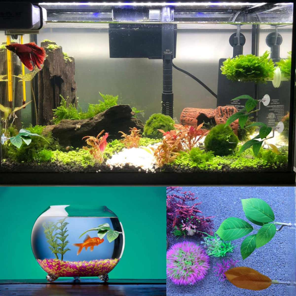 1 PC 베타 물고기 해먹 부드러운 수족관 장식 플라스 - Aquarium Fish Only 리뷰 및 가격