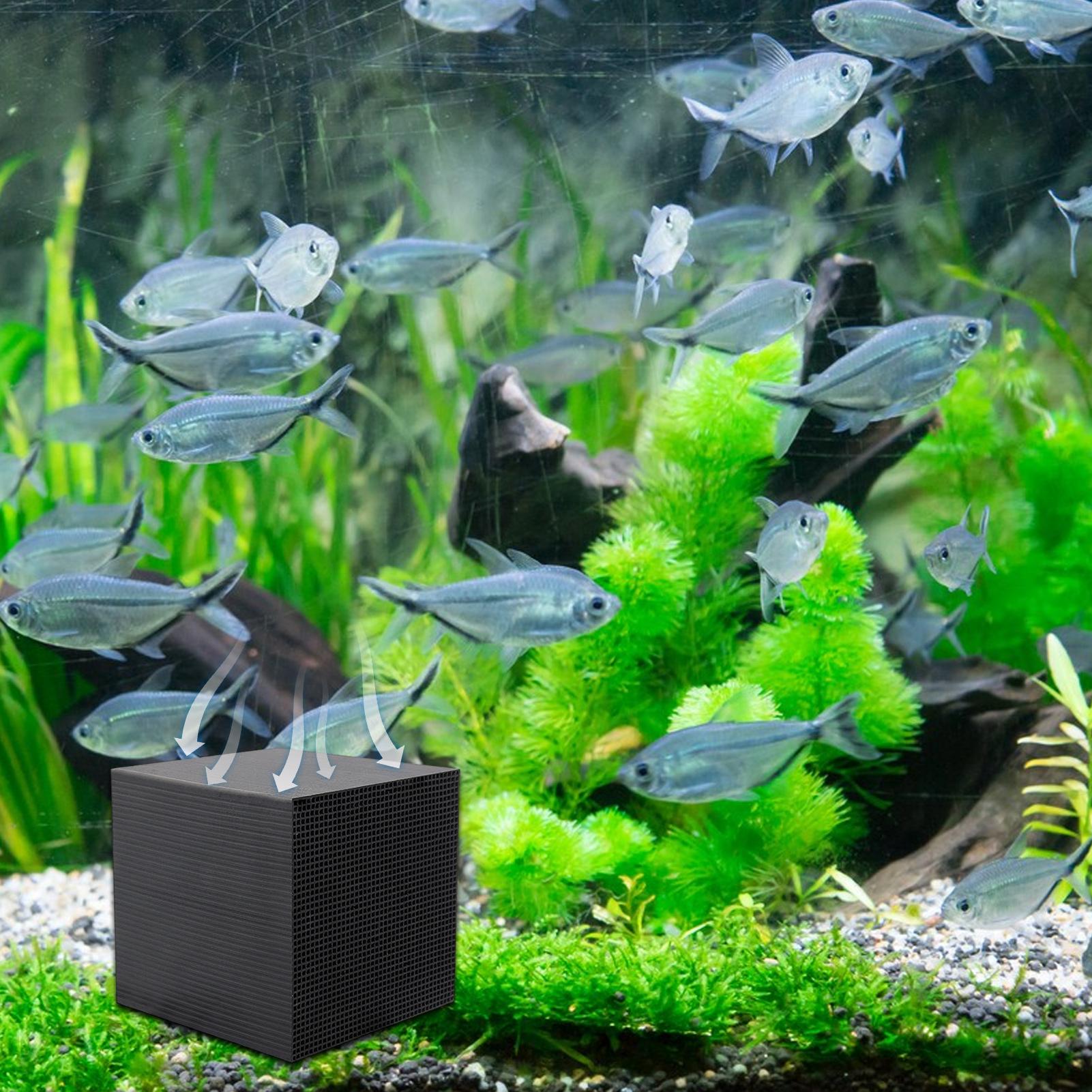 수족관 정수기 큐브 물통 정수기 큐브 활성탄 정수기 큐 - Aquarium Fish Background 리뷰 및 가격