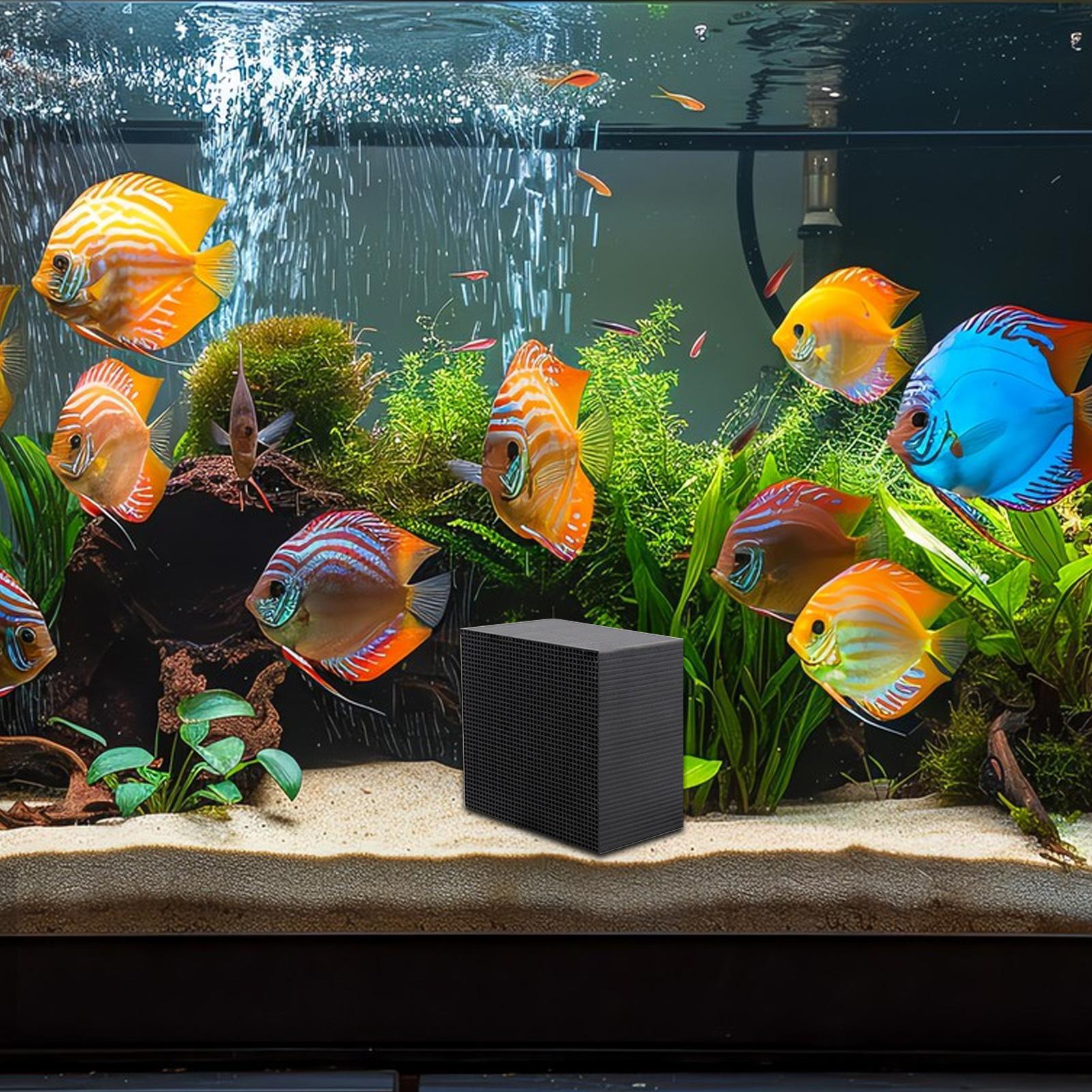 수족관 정수기 큐브 물통 정수기 큐브 활성탄 정수기 큐 - Aquarium Fish Background 리뷰 및 가격