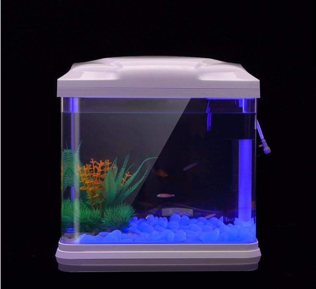 물고기 탱크 바위 정원 물고기 탱크 수족관 식물 냄비  - Aquarium Fish Types 리뷰 및 가격