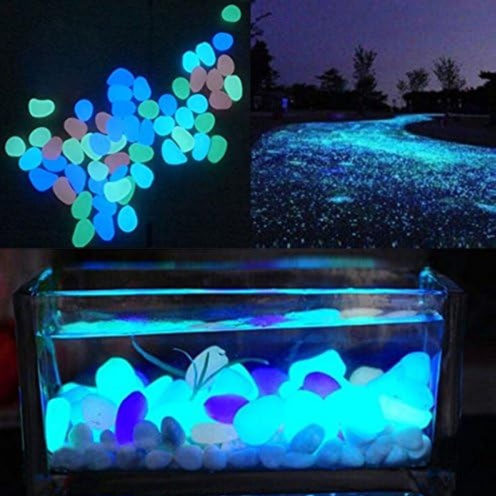 물고기 탱크 바위 정원 물고기 탱크 수족관 식물 냄비  - Aquarium Fish Types 리뷰 및 가격