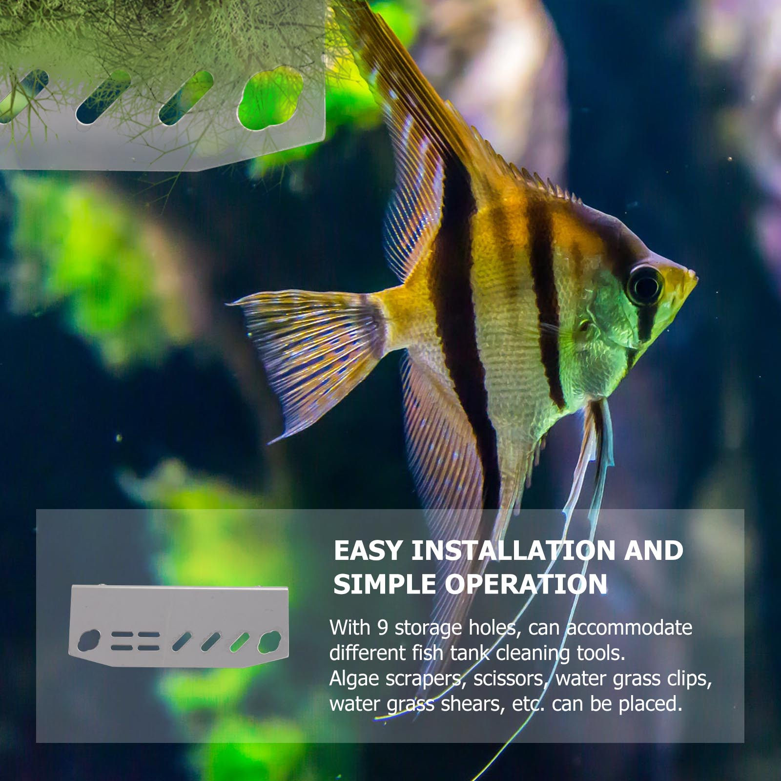 1Pcs 수족관 도구 랙 스테인레스 스틸 물풀 도구 정 - Aquarium Fish Maintenance 리뷰 및 가격