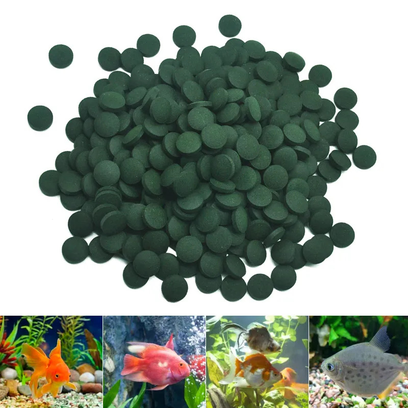 50-300개 고순도 스피룰리나 정제 나선형 해조류 강 - Aquarium Fish Eggs 리뷰 및 가격