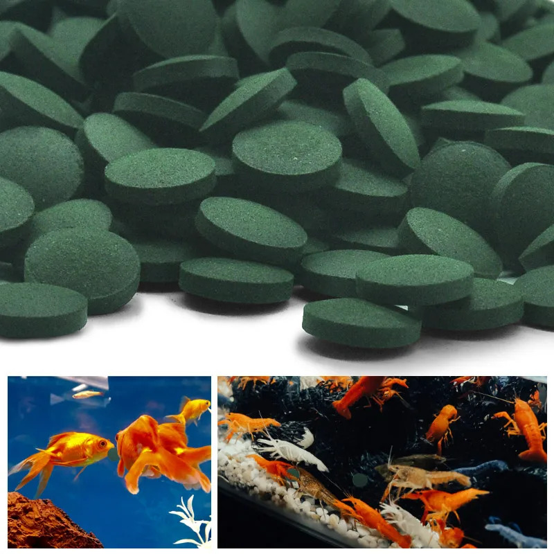 50-300개 고순도 스피룰리나 정제 나선형 해조류 강 - Aquarium Fish Eggs 리뷰 및 가격