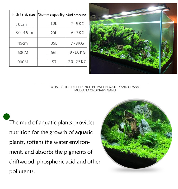 수족관 식물 씨앗 토양 어항 기판 모래 토양 비료 진흙 - Aquarium Fish Types 리뷰 및 가격