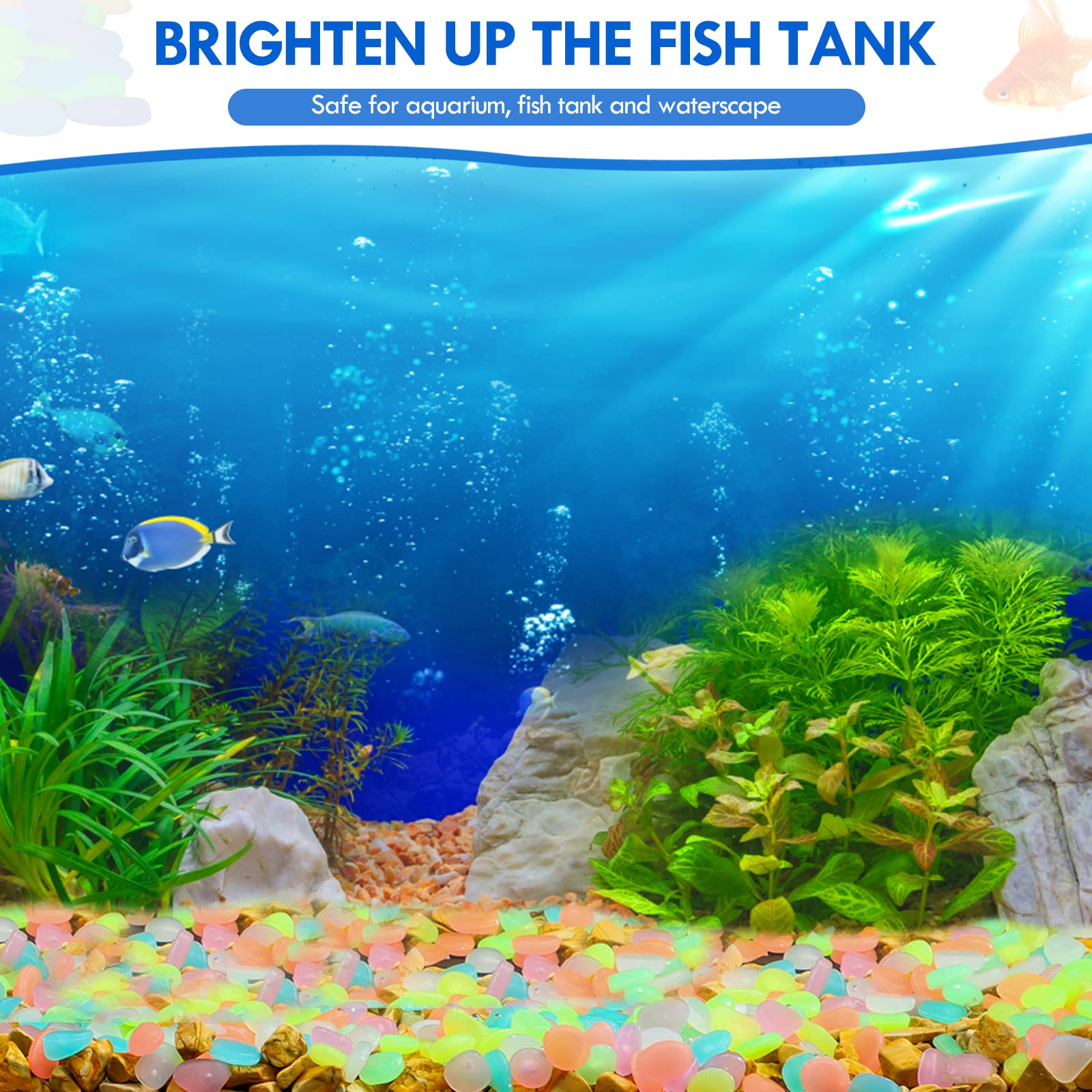 100Pcs 보도 정원 테라스 잔디 정원 파티오 물고기 - Aquarium Fish Types 리뷰 및 가격