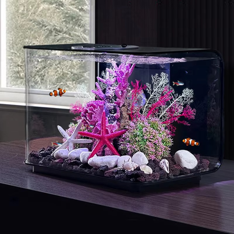 아쿠아리움 거실 소형 어항 공급업체 데스크탑 생태 테이 - Aquarium Fish Supplier 리뷰 및 가격