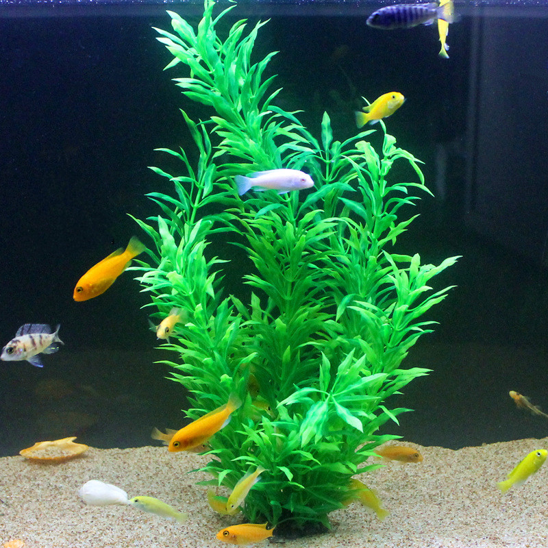 50CM 인조 어항 희귀 식물 수족관 가짜 대나무 잎  - Aquarium Fish Gallery 리뷰 및 가격