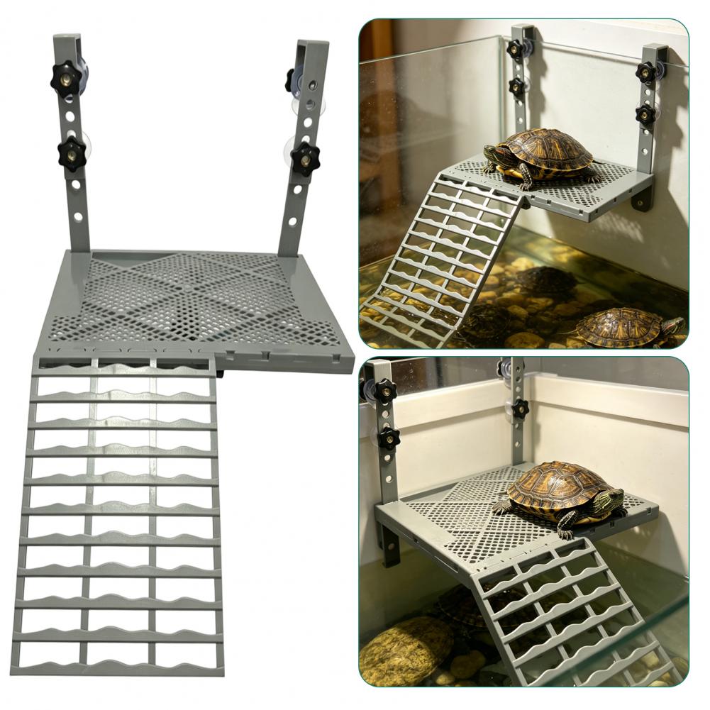 수족관 장식용 고형형 거치형 거북이 일광욕 플랫폼, 흡 - Aquarium Fish Types 리뷰 및 가격